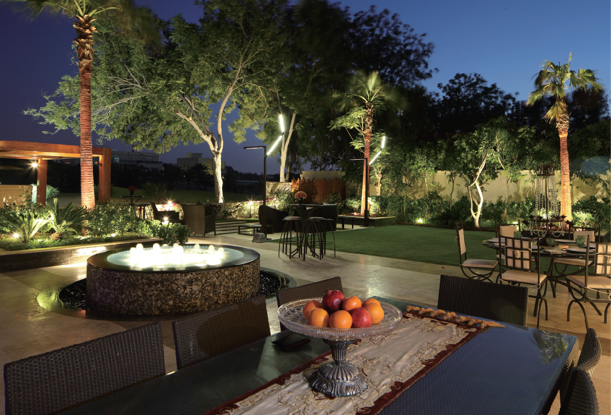 den-chieu-cay-cosmos